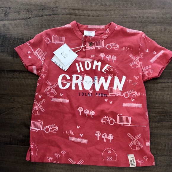 Zara Other - ZARA BABY Home Grown Tee